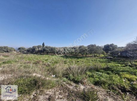 Mordoğan Ana Yola Yakın Satılık Tarla