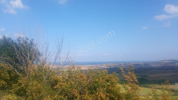 Tekirdağ Süleymanpaşa 27dönüm Satılık Tarla