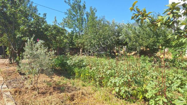 Menderes Ataköyde Bahce