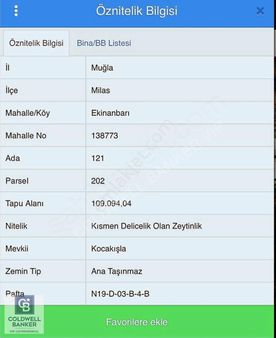 Milas Havaalanı Yakını Tek Tapu Satılık Zeytinlik