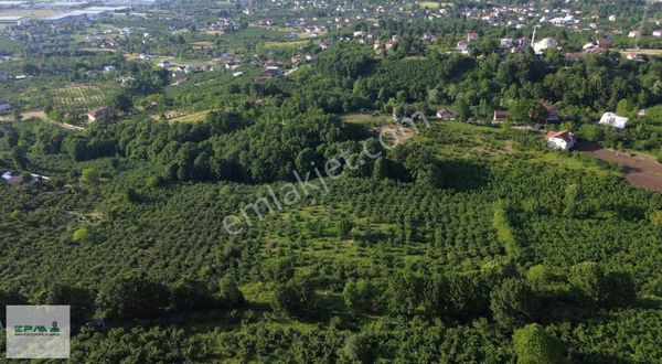 Akyazı Kuzuluk Topçusırtında Manzaralı 4633m2 Yatırımlık Arsa