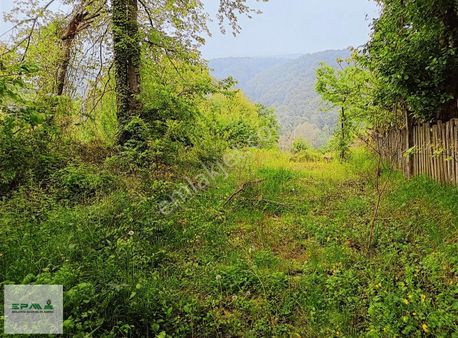 Şerefiye Köyünde Ana Yol Üzerinde Satılık Köşe Parsel