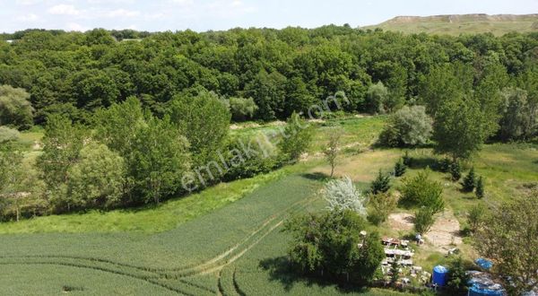 **pınarhisar Poyralı Köyü Tek Tapu Hobi Bahçesi**