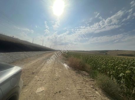 **lüleburgaz Oklalı Köyünde Hızlı Trene Yakın Tek Tapu Arazi**