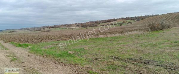🌿 Babaeski Yeniköy'de Satılık Tarla!