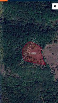 Bursa Mustafakemalpaşa İlçesi Güvem Köyü Satılık Tarla