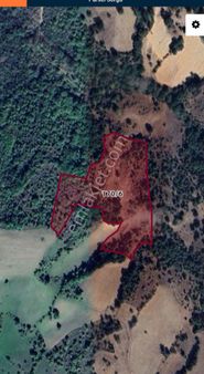 Balıkesir Kepsut Örenli Satılık Tarla