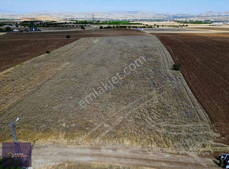 [hg] Poyrazda Mükemmel Konumda 5240 M2 Tarla