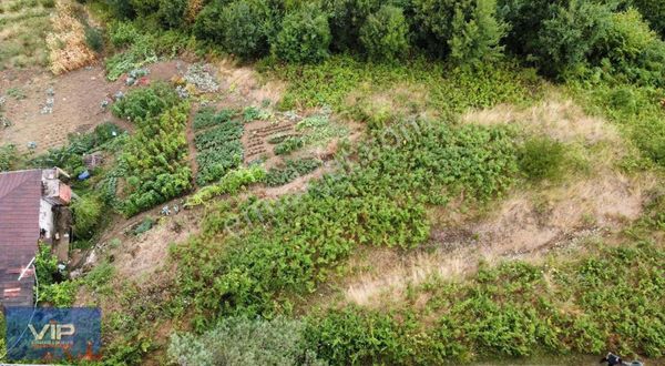 Vip Real Estate Akçaabat Akçakale Zeytinlikde Satılık 456m2 Arsa