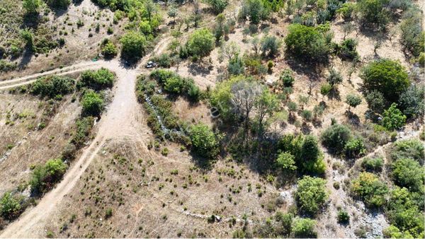 Alanya Güzelbağ Fatih’te Yatırımlık 959m2 Tarla