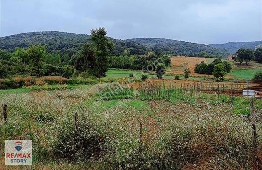 Kocaeli Derince Kaşıkcı Anayol Üzeri %35 Konutimarlı 945 M²tarla