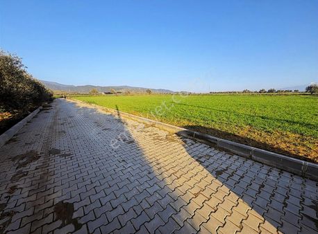 Bayındır Pınarlı Da Satılık Tarla