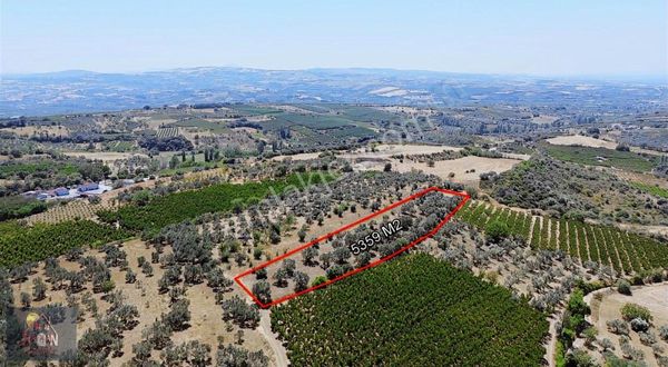 Boğaz Manzaralı İmara Yakın Kadastral Yolu Olan Tarla Satılık