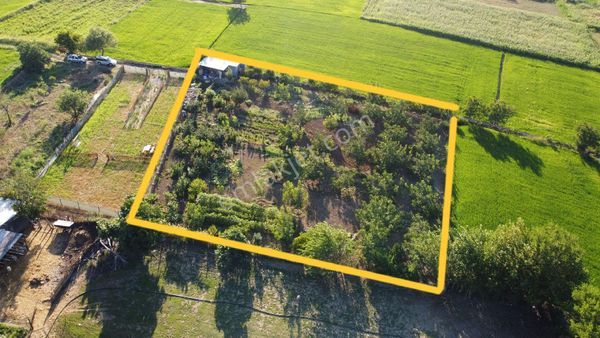 Alp Yapı Emlak´tan Gönen Kurtuluş´ta Satılık Meyve Bahçesi