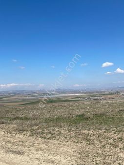 Yağlıpınar Mah'de 565 M2 Türksat Yakını Satılık Tarla Pala Emlak