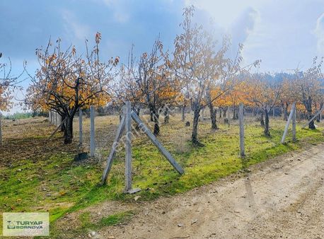 Turyap Bornova'dan Damlacık'ta Satılık 277 M2 Tarla