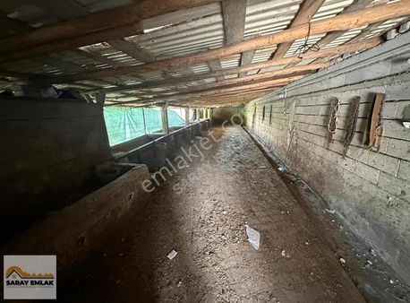 Saray Emlaktan Satılık Niğde Bor'da 3776 M2 Arazi İçinde Mandıra