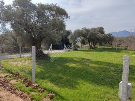 Kaya Emlak'tan Kemalpaşa Vişneli Köyü Yakınında Acil Satılık 450 Metre Kare Bahçe