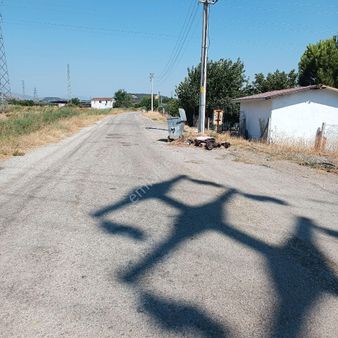 Torbalı Arslanlar,da Tek Tapu