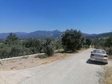 Kaya Emlak'tan Kemalpaşanın Merkezine Çok Yakın Acil Satılık Bahçe