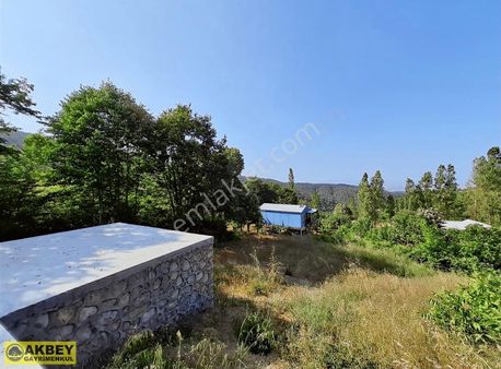 Akbey'den Maksempınar'da Yola Cephe Manzaralı Tek Tapu Tarla