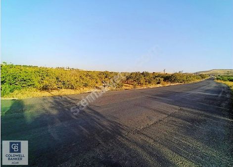 Coldwell Banker'dan Urfaya 9 Km Tek Müstakil Tapu Fıstık Bahçesi