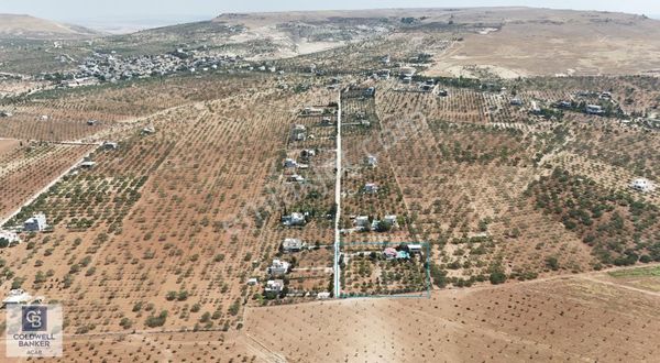 Cb Acar'da Kırkpınarda Havuzlu, Tapulu, Hazır 4.257 M² Bağ Evi