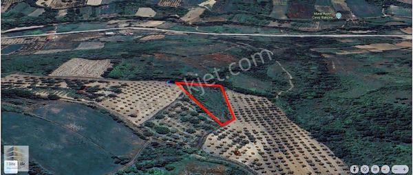 Bursa İnegöl Gündüzlü De 2.920 M2 Müstakil Tek Tapu Tarla