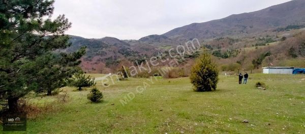 Bursa Gemlik Fındıcak Köyünde Satılık 8.176m² Müstakil Tapu