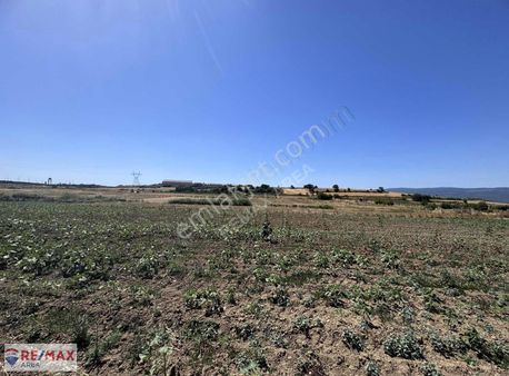 Remax Area Dan Seyran Da Köye Yakın Satılık 3150 M2 Fırsat Tarla