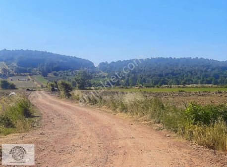 Yön Gayrimenkul Den Satılık Yola Cepheli Tarla