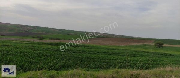 Kirklareli Babaeski'de Satılık Arazi