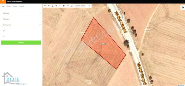 Blue Emlak'tan Aslanapa'da Satılık Tarla