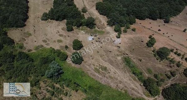 Şile Teke Mahallesinde 3.020 M² Satılık Tarla