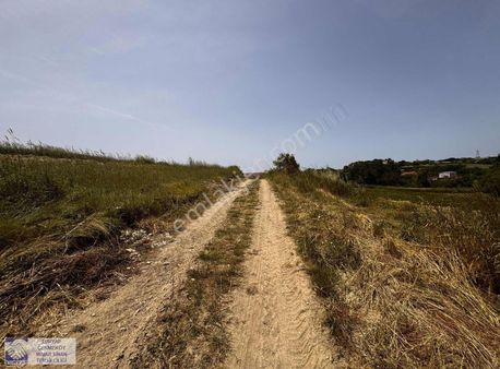 Gokhanisildaktan Sakarya Kaynarca Da Satılık 2311 M2 Tarla