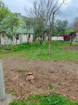 Kemalpaşa Armutlu Merkezine Çok Yakın Acil Satılık Bahçe