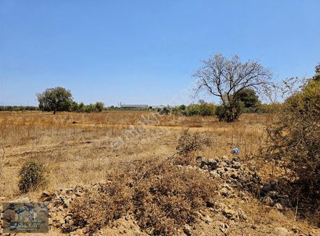 Kepez Başköy'de 7200 Mt Resmi Yolu Olan Müstakil Tapulu Tarla.