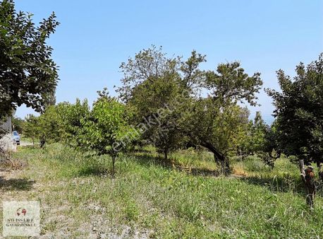Swıss Lıfe'dan Honaz Yeni Mahalle'de Satılık Bahçe