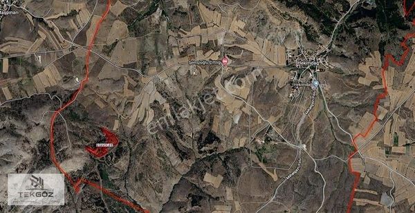 Tekgöz'den Hekimdağ'da Satılık 32.5 Dönüm Yatırımlık Tarla