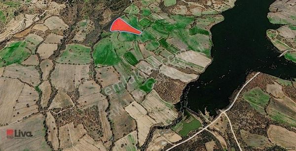 Liva'dan Balya Ilıca'da Yatırım Fırsatı Tarla