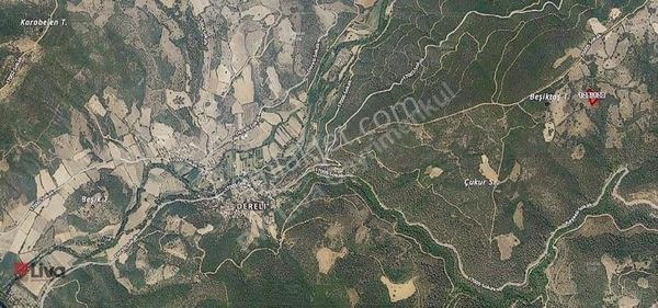 Liva'dan Yatırımlık Fiyatı Uygun Tarla