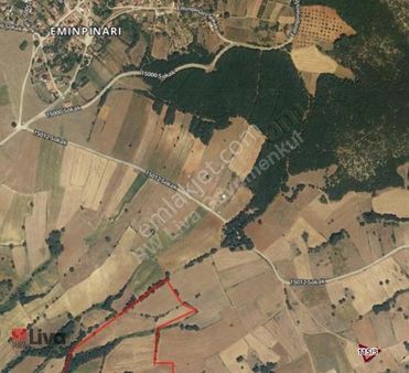Rw Liva'dan Susurluk Eminpınar'da Yola Cepheli Satılık Tarla