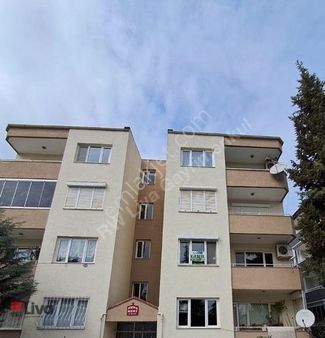 ▓ Livadan Paşaalanı Mahallesinde Kiralık Arakat Daire