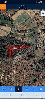 Lavanta Kokulu Hayaliniz, Renault Clio Fiyatına!