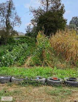 Sakarya/adapazarı/salmanlı'da Huzur Dolu Hobi Bahçesi 650 M²