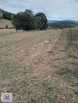 Gözel Gayrimenkulden İzmit Sarışeyh Te 582 M2 Ana Yola 335 M