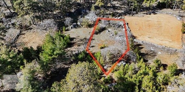 Muğla Menteşe Kıran 1.183 M2 Denize Yakın Tarla