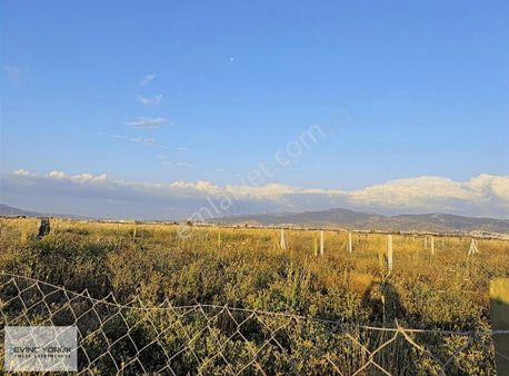 İzmir Menemen Seyrek'te Satılık Hisseli Hobi Bahçesi