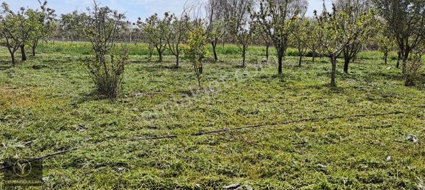 ~yemenogulları Emlak~ Emirgazi Mh. 2300 M2 Hazır Bahçe~