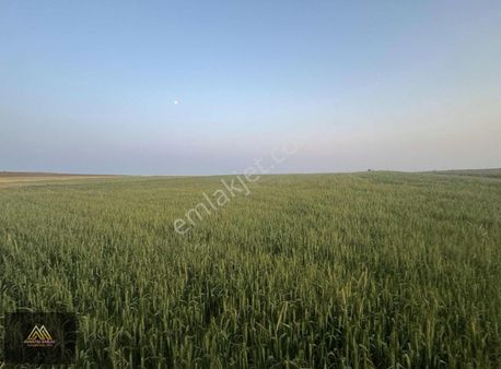 Gölbaşı Mahmatlıda Satılık Yatırımlık Arsa